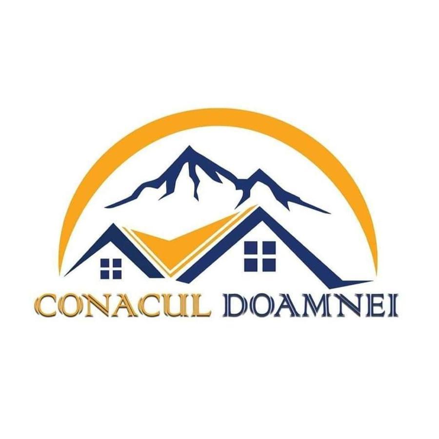 Villa Conacul Doamnei Corbi Esterno foto