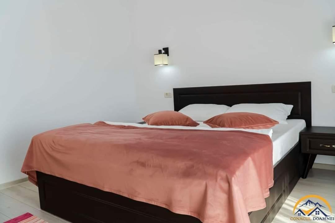 Villa Conacul Doamnei Corbi Esterno foto