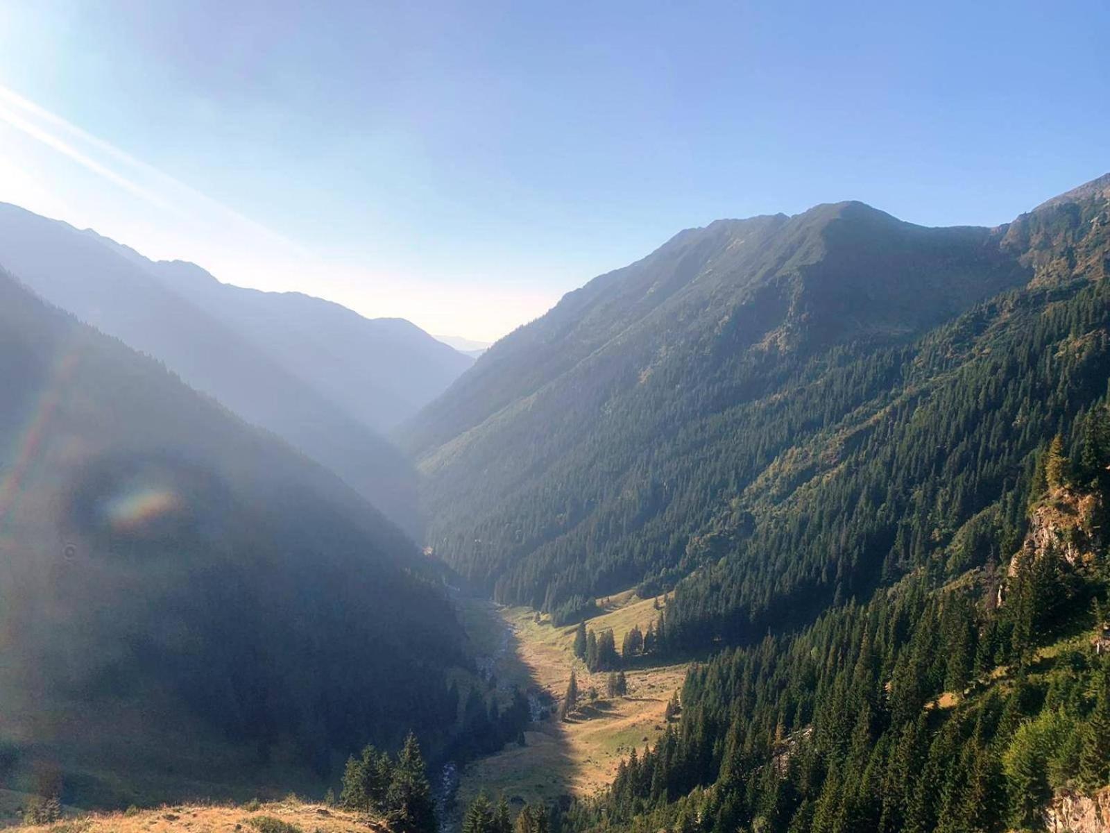 Villa Conacul Doamnei Corbi Esterno foto