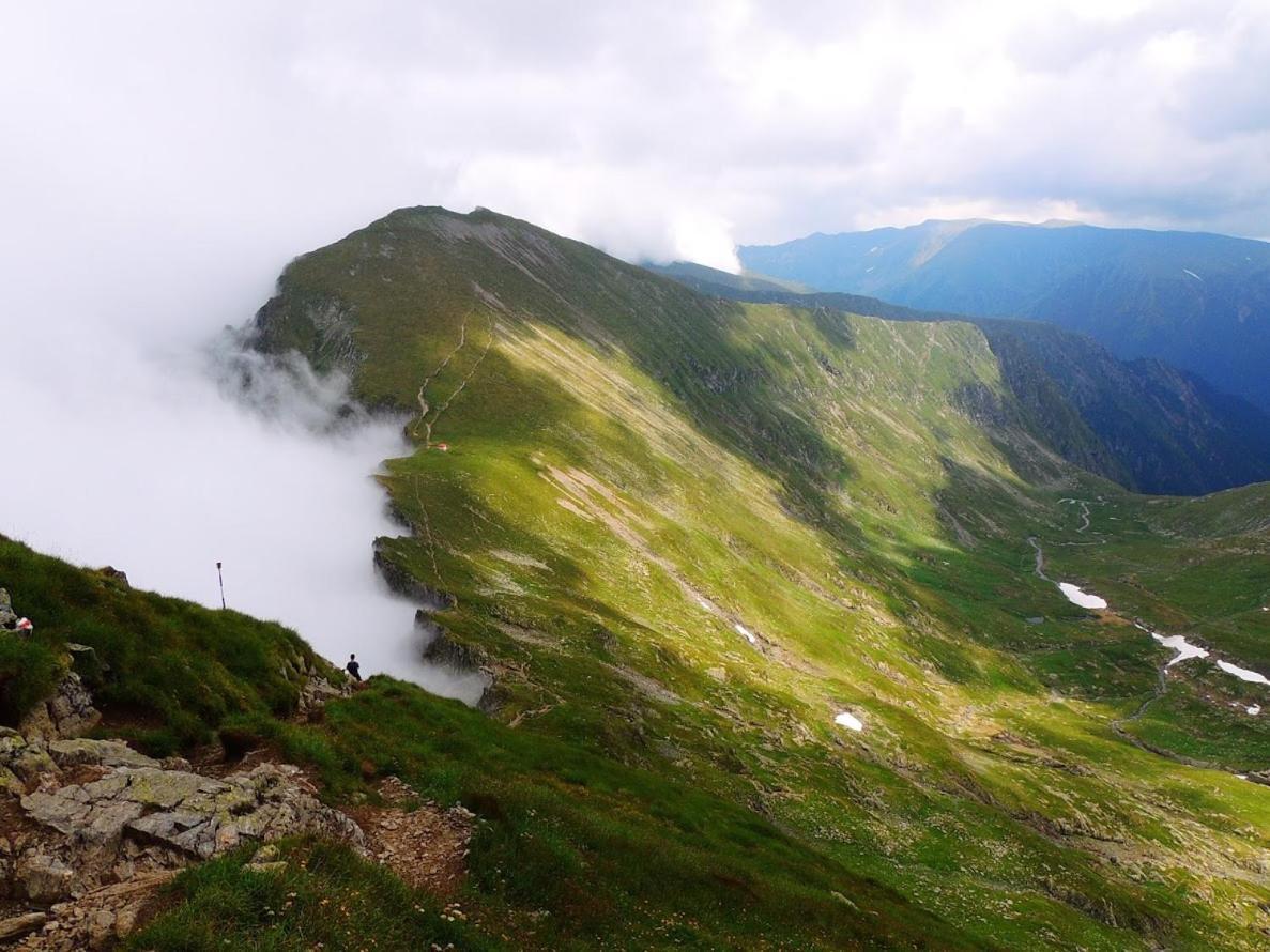 Villa Conacul Doamnei Corbi Esterno foto