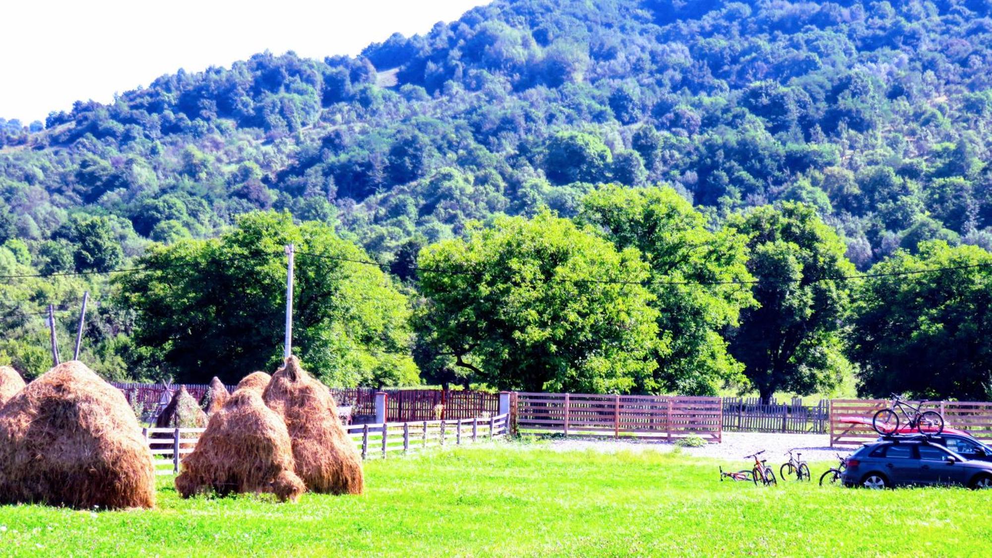 Villa Conacul Doamnei Corbi Esterno foto